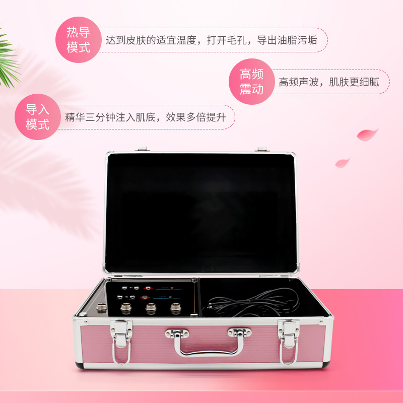 美容導(dǎo)入儀OEM代工